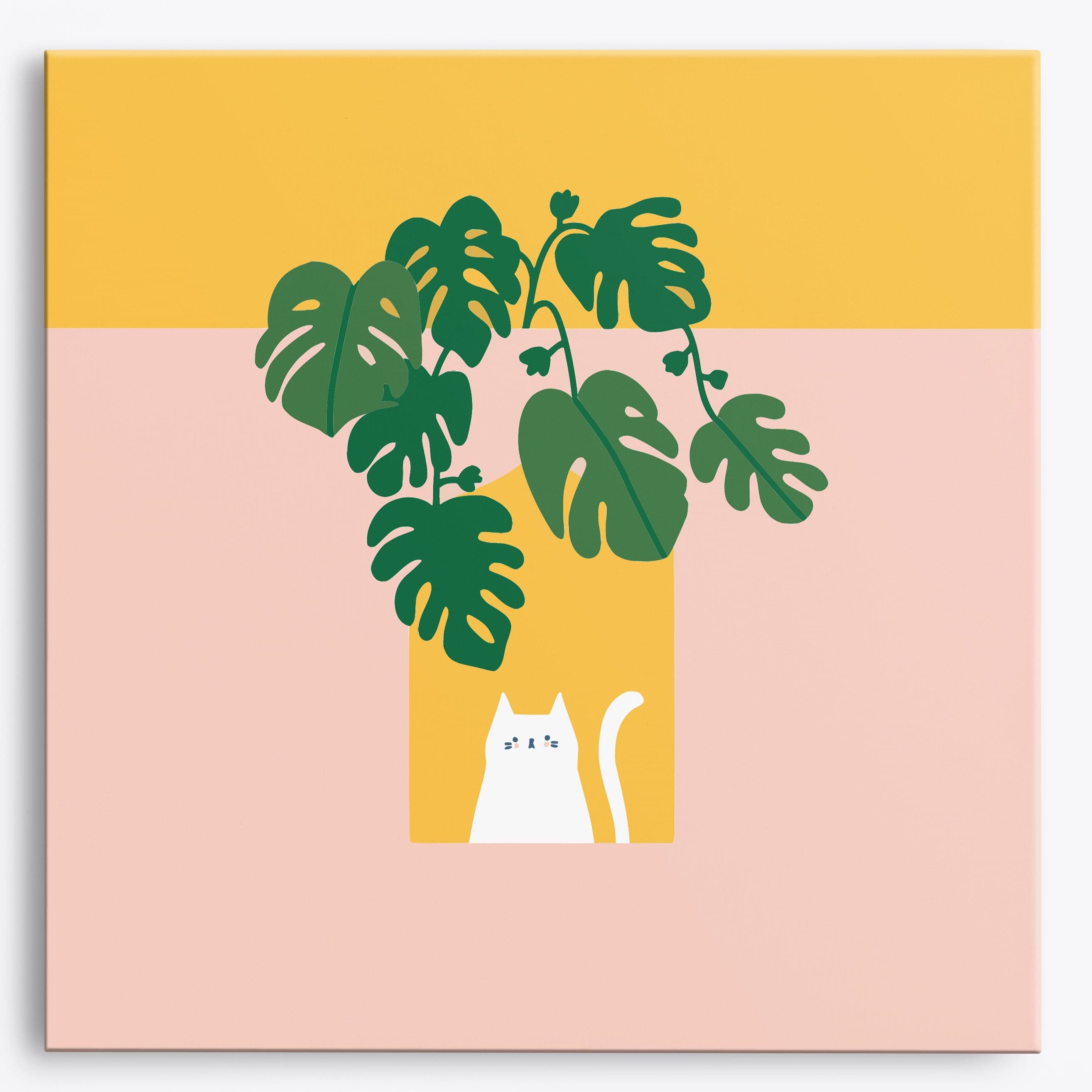 Mini kit Monstera & Meow